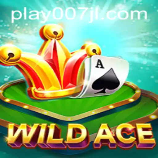 Exploring WildAce: A Thrilling Card Game Adventure